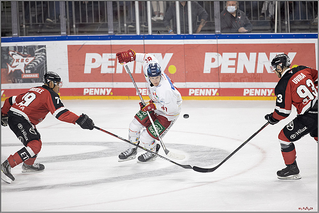PENNY DEL;  Koelner Haie - Duesseldorfer EG; Koeln, 19.10.2021